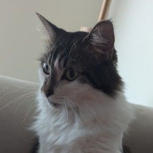 Meet your Posher, Jessie